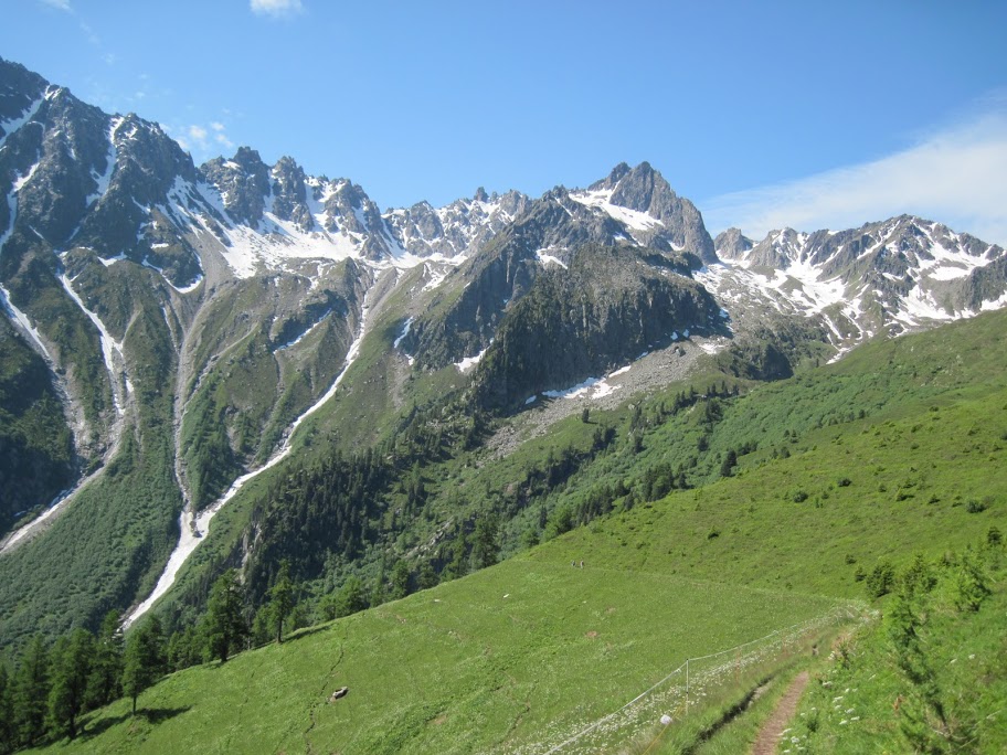 Alp Bovine