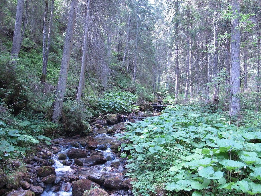 Monkova Dolina